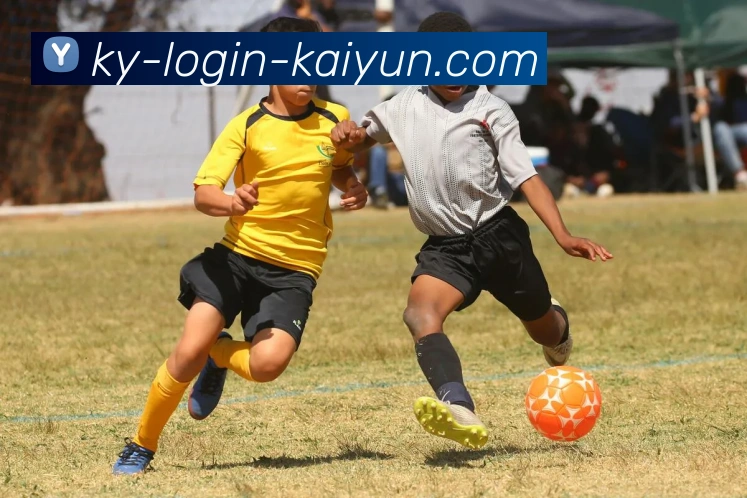 数据防护可视化